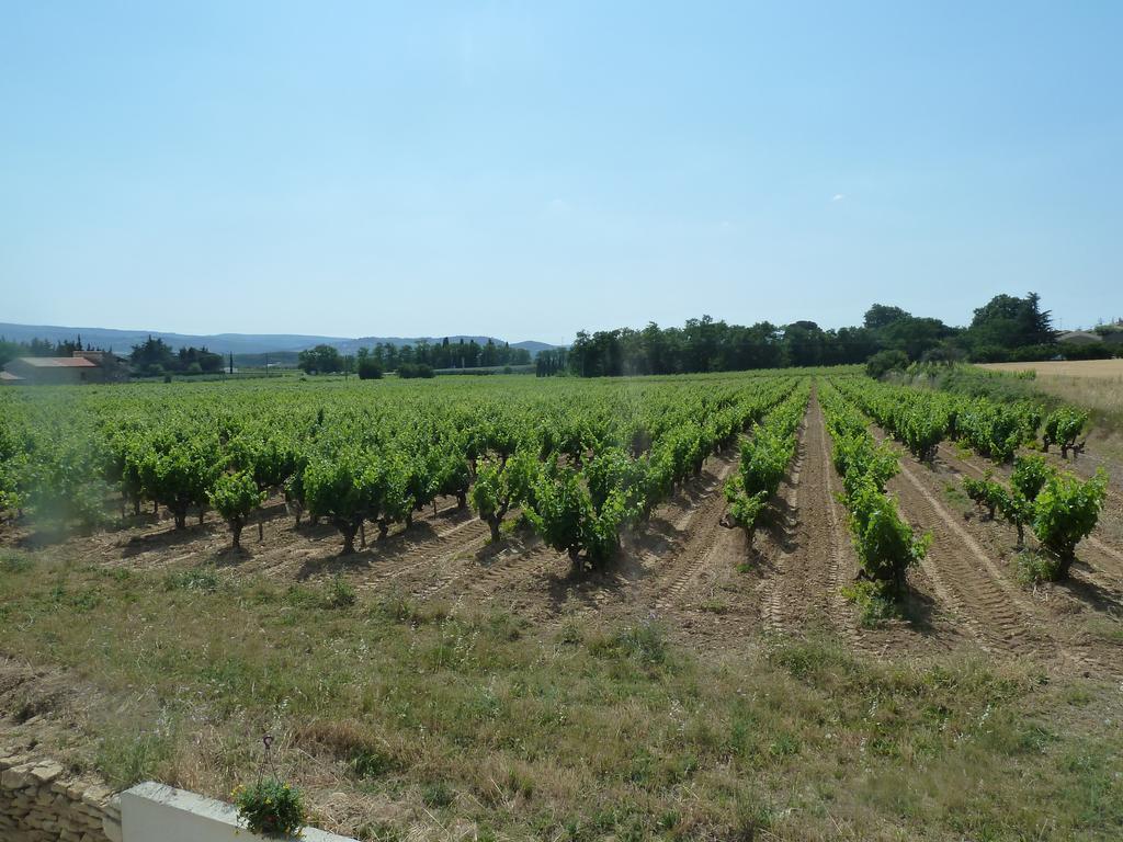 La Vigne *